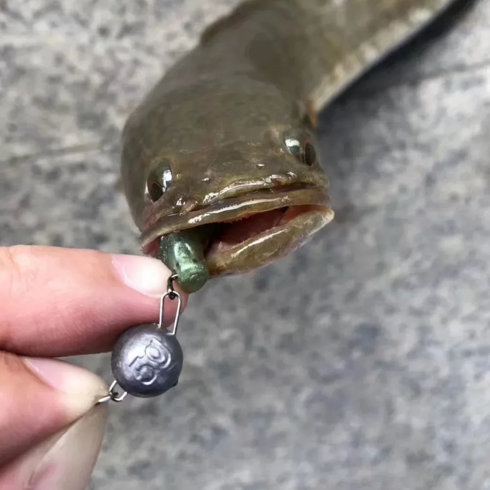 Angeln Gewicht 2g 10g 16g Sinker Jig Kopf Tiefes Wasser mit Wirbel – Bild 5