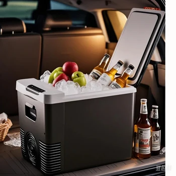 Mini-Kühlschrank 12V 220V Auto- und Haushaltskühlschrank Gefrierschrank 10L Outdoor-Kühler & Wärmer
